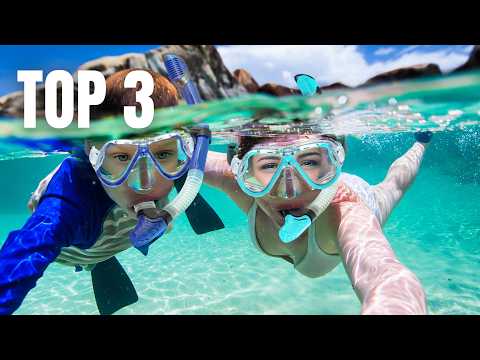 Top 3 Best Snorkel Mask !