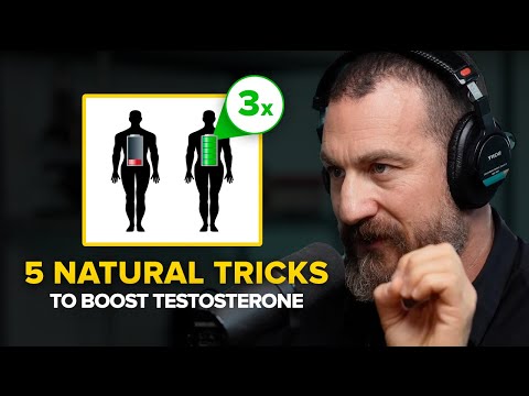 Neuroscientist: "TRIPLE Your Testosterone Levels" | Andrew Huberman