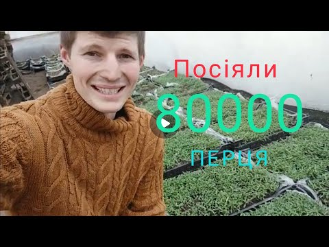 Посіяв розсаду 80 000 перцю універсальним способом