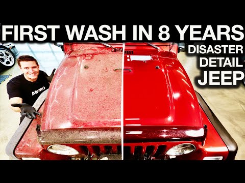 First Wash in 8 Years: Abandoned Jeep Wrangler Detail Amazing Transformation and Reaction!