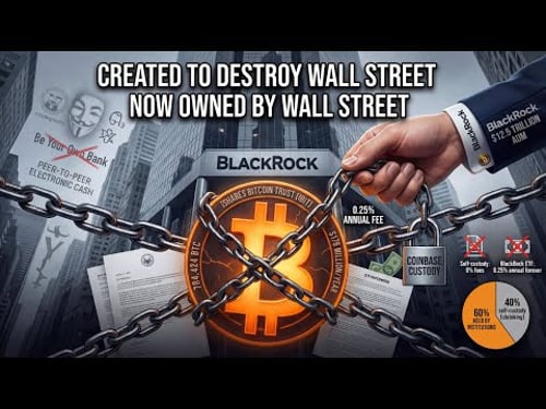 Bitcoin EXPOSED: The Institutional Takeover Nobody Predicted