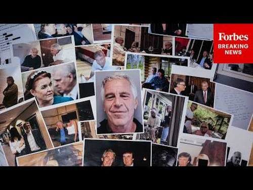 This Is What I Saw In The Unredacted Epstein Files: Debbie Wasserman Schultz