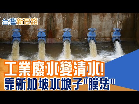 直擊工業區污水變清水!薄膜生物反應器到底是什麼?她一個人處理全台近四分之一污水,新加坡「水娘子」施展膜法救台灣│主播 苑曉琬│【台灣新思路】20251216│三立iNEWS