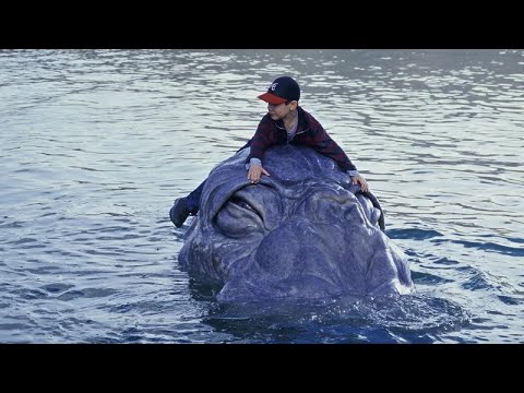 Mee-Shee: El Gigante del Agua | Película Completa en Español | YouMovies Español