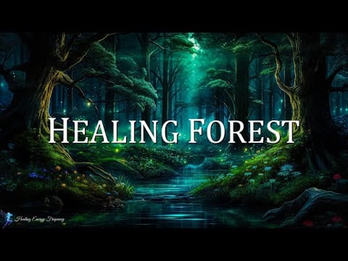 HEALING FOREST AMBIENCE | 528Hz + 741Hz + 396Hz - Miracle Tone Healing | Energy Cleansing Meditation