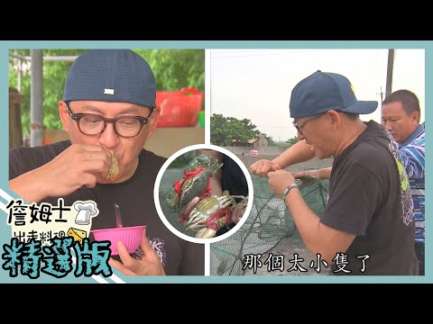 《精選:詹姆士棒的》台南在地青鯤鯓野生大螃蟹 現撈爆蛋紅蟳肉質飽滿!