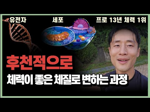 "어쩐지 매일 피곤하더라" 당신의 체력을 급격히 올리는 과학적인 습관