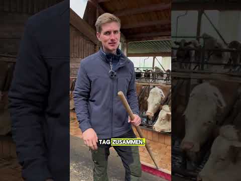 Wenn der Hof dein Fitnessstudio ist 💪