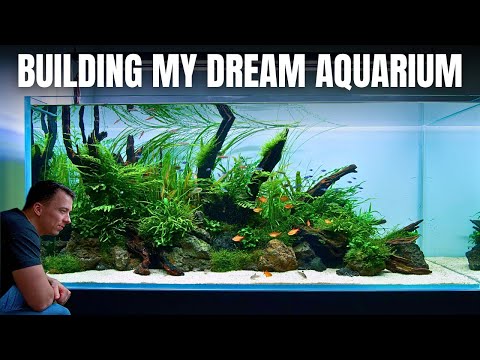 MAKING THE ULTIMATE HOME AQUARIUM! FULL AQUARIUM BUILD START TO FINISH