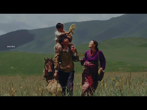 下乡医生,爱上了草原姑娘。《甘南情歌》#电影解说 #电影剪辑 #爱情