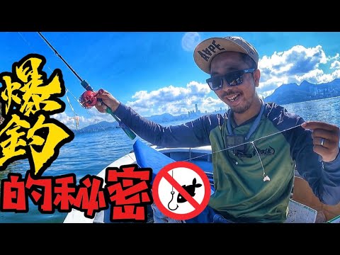 為什麼不准🚫人用仕掛釣組 😒爆釣下啫#香港釣魚 #fishing #自駕遊
