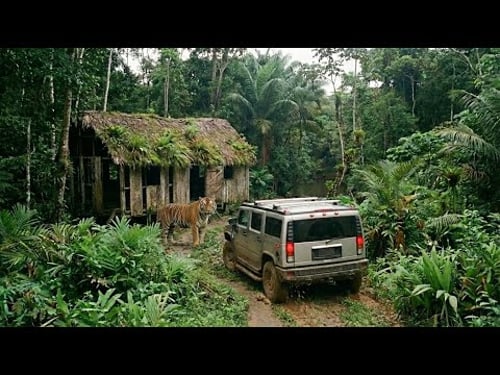 Outdoor to AMAZOON with My Girlfriend & Repairing an old house abandoned in the Forest