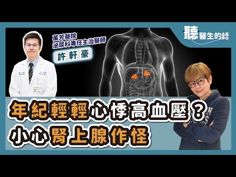 '25.10.21【愛健康│聽醫生的話】許軒豪醫師談「年紀輕輕心悸高血壓?小心腎上腺作怪」
