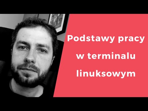 Basics of working in the terminal on Linux