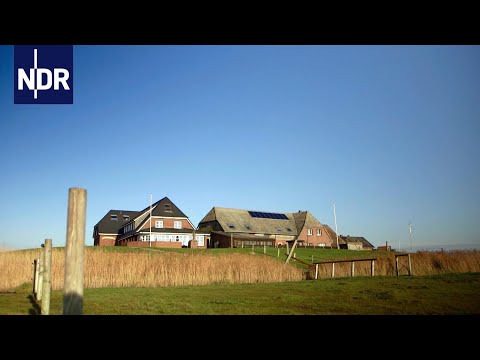 Winter an der Westküste | die nordstory | NDR