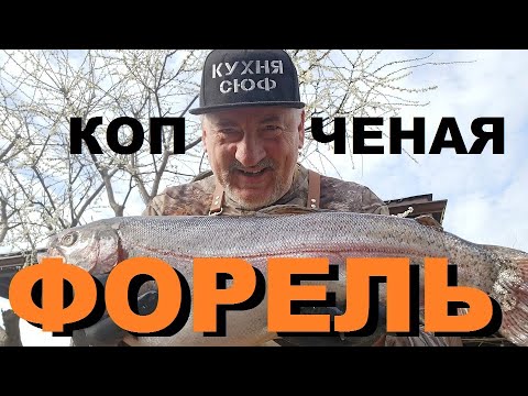 ФОРЕЛЬ ХОЛОДНОГО КОПЧЕНИЯ. РЕЦЕПТЫ СЮФ