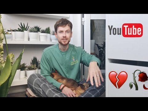 Houseplants that I was disappointed in. My list of mistakes with indoor plants.