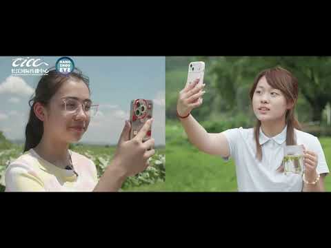 From Wuhan to Hangzhou: Solving the Yangtze’s Ecological Riddle