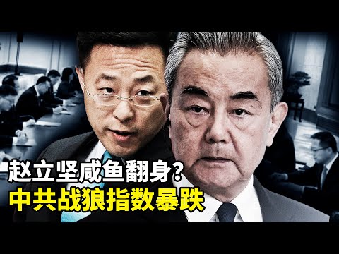 王毅带赵立坚露面!是复出?还是派系斗争的余震?内忧外患,中共战狼外交指数下降!