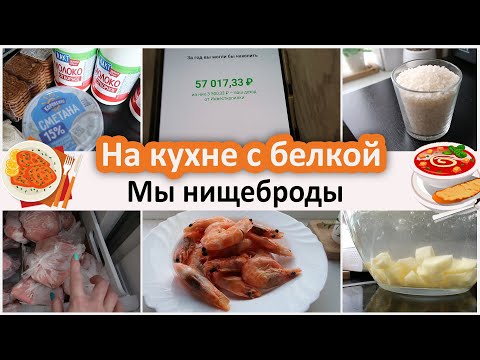 In the kitchen with a squirrel. How I make a list. What's in the fridge? My supplies. We're broke.