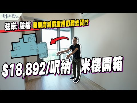 🛥弦岸: 驗樓🛥$18,892/呎納米樓開箱❗️發展商減價重推仍難去貨⁉️|莊士中國|鴨脷洲|胡‧說樓市