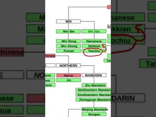Basic facts about the Teochew language