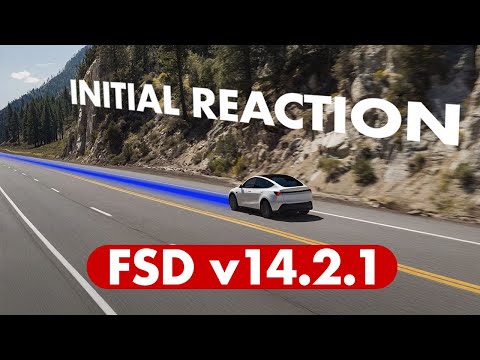 Tesla FSD v14.2.1 Takes On Wrong-Way Driver