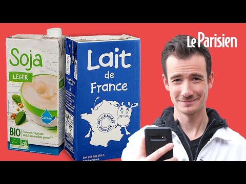 Les «laits» végétaux peuvent-ils remplacer le lait de vache ?