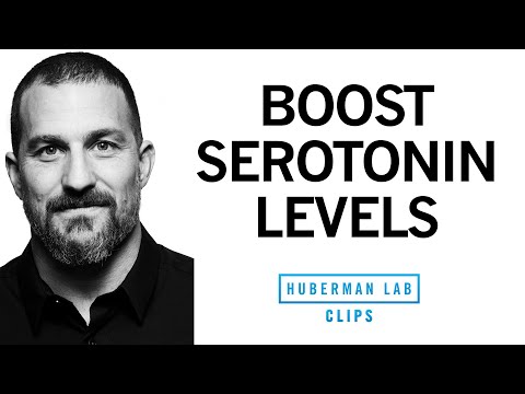 How to Improve Serotonin Levels for Depression | Dr. Andrew Huberman