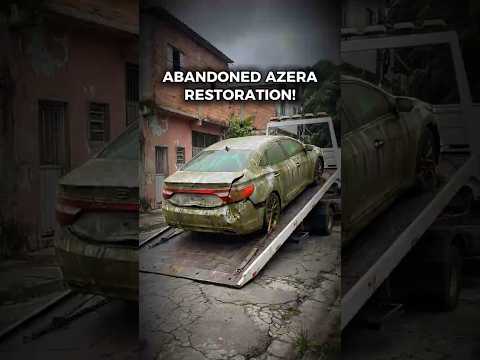 I BOUGHT this HYUNDAI AZERA at an AUCTION for an UNBELIEVABLE price.