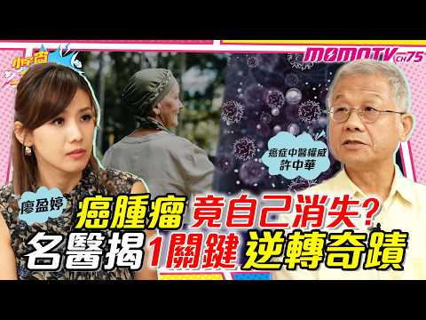 癌腫瘤竟自己消失?名醫揭1關鍵逆轉奇蹟 ft.癌症中醫權威 許中華【 小宇宙大爆發 】