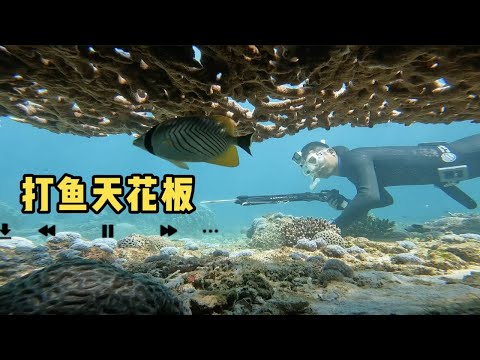 《环球探海记》阿曼 第45天:今天潜水碰到大货,居然把渔枪都给扯断啦,幸亏后美德来帮忙修复好! #自由潜渔猎 #阿曼马西拉岛 #海鲜美食猎奇