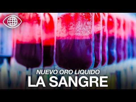 El Negocio de la Sangre: Vidas en riesgo, Millones en juego | Documental - JV