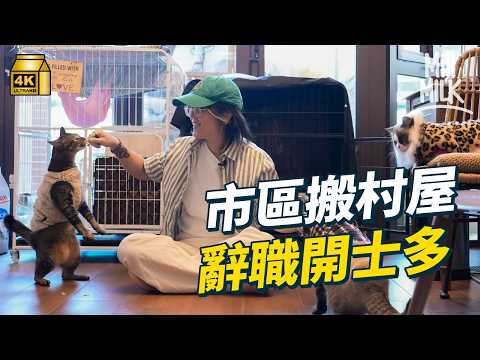 #MM|屯門鍾屋村 街坊籌錢救流浪狗 每日專人洗傷口餵藥 美國回流唔住市區搬村屋開士多 救天水圍斷水斷糧30貓 街坊幫手暫託 領養|#700萬種生活 #4K