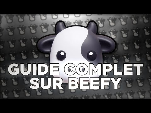 LE GUIDE COMPLET DE BEEFY FINANCE !