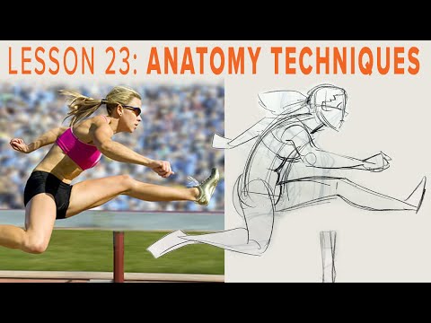 Tips and Techniques for Drawing Anatomy