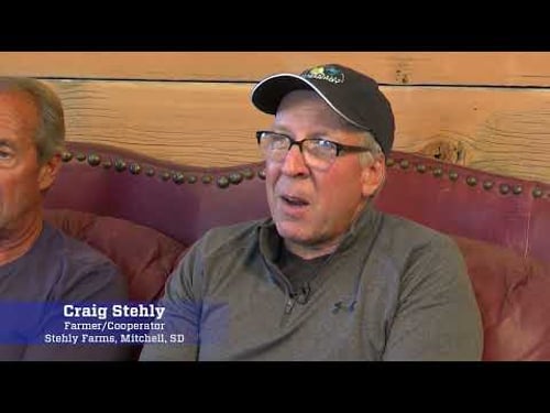 Benefits of Precision Profitability Analysis