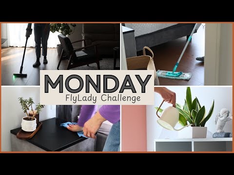 Clean With Me – 5 Days to a Peaceful Home (FlyLady Challenge). MONDAY