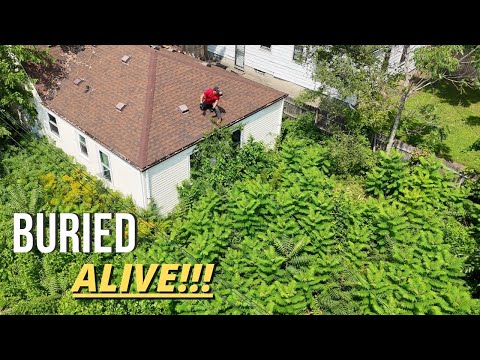 A CRY for Help… and Pure Joy Followed as a Family STEPPED OUTSIDE Again