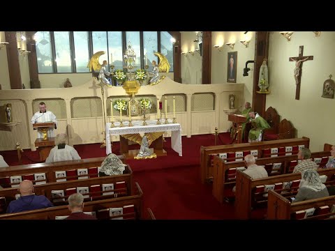 Daily Readings and Homily - 2025-10-10 - Fr. Paschal