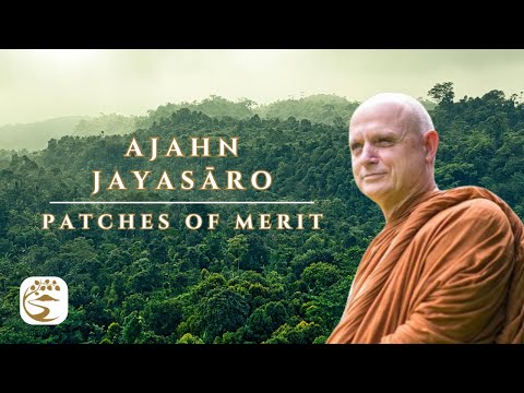 Gardening Goodness & Saving Starfish | Ajahn Jayasāro Q&A