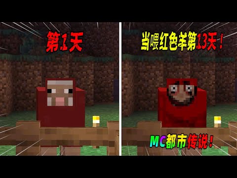 我的世界都市传说:千万不要喂养红色的羊超过13天,请切记!(Minecraft都市傳說)