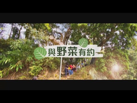 【與野菜有約】品味山林 挖掘綠色寶藏|華視新聞雜誌EP2309單元2 2022.04.08