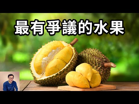 為什麼榴槤(榴蓮)是「水果之王」?中國人對榴蓮的熱情震驚世界!是怎樣的演化過程,造就了如此詭異的水果?【老肉雜談】#生物 #植物 #榴蓮 #榴梿 #水果