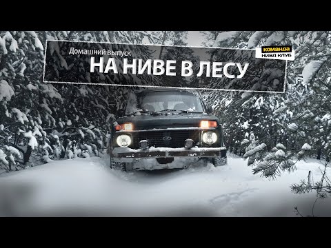 Штатная НИВА. ЛЕС. ЗИМА | Как провести время здорово | серия #40