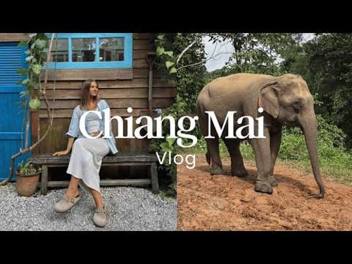 Chiang Mai Through My Eyes: Coffee Shops Tour, Food Spots & Natureπ€