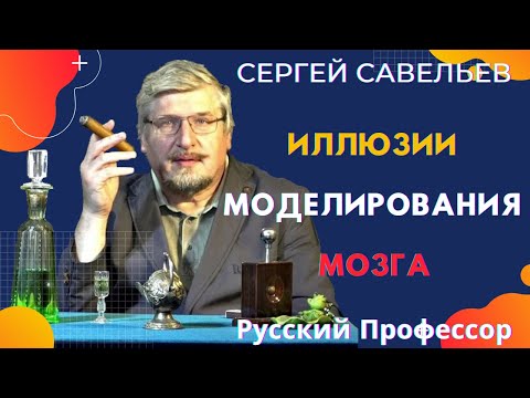 Sergey Savelyev. Illusions of Brain Modeling