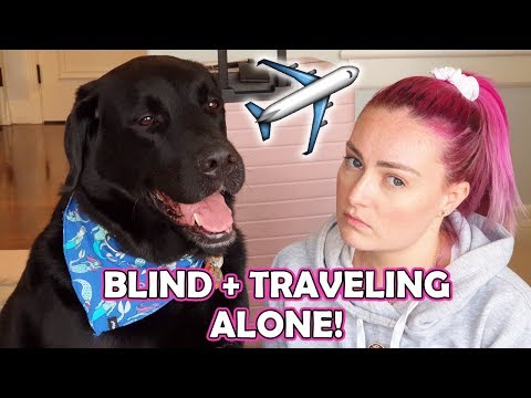 What It’s Like To Travel Alone When You’re Blind