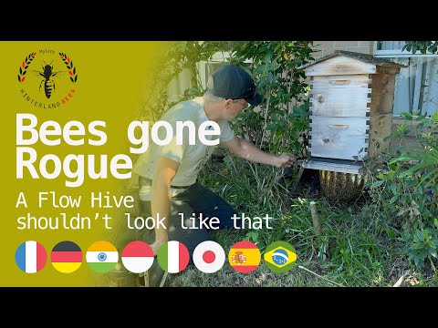 A Flow Hive should NOT look like this.