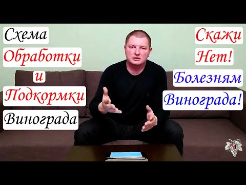 Схема ОБРАБОТКИ и ПОДКОРМКИ Винограда!